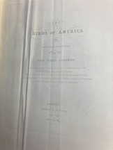birdsofamerica title page vol 4 copy