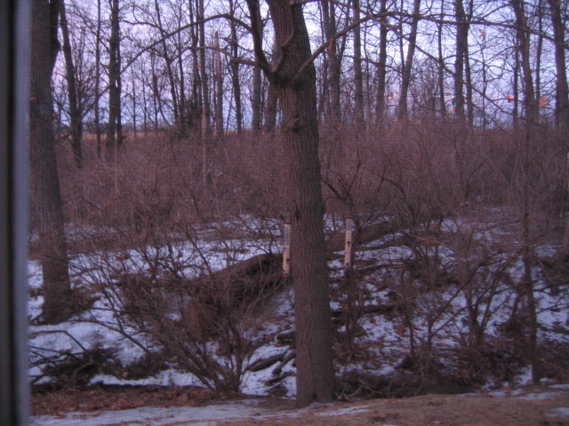 IMG_0540.JPG