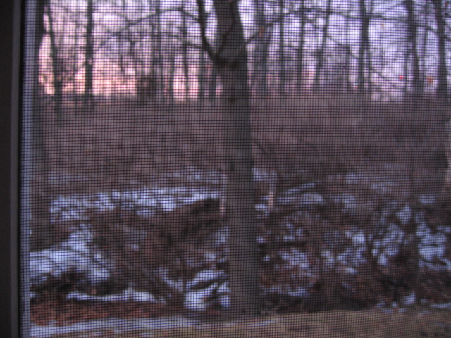 IMG_0542.JPG