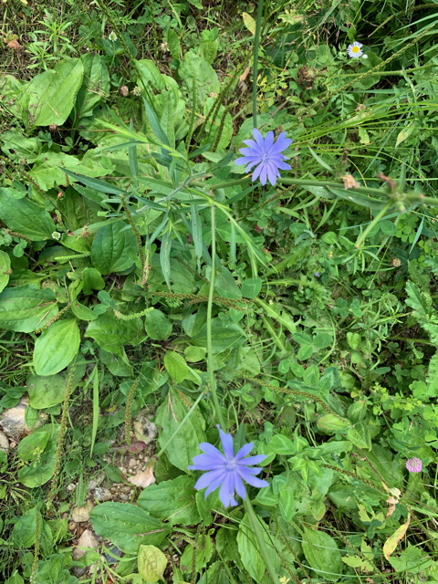 IMG_0254.jpeg